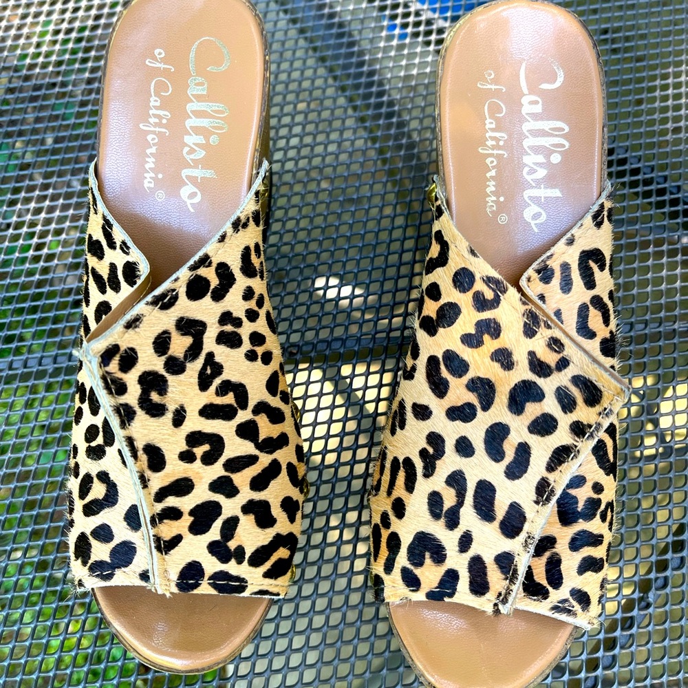 Callisto of California Leopard Wedges Size 8